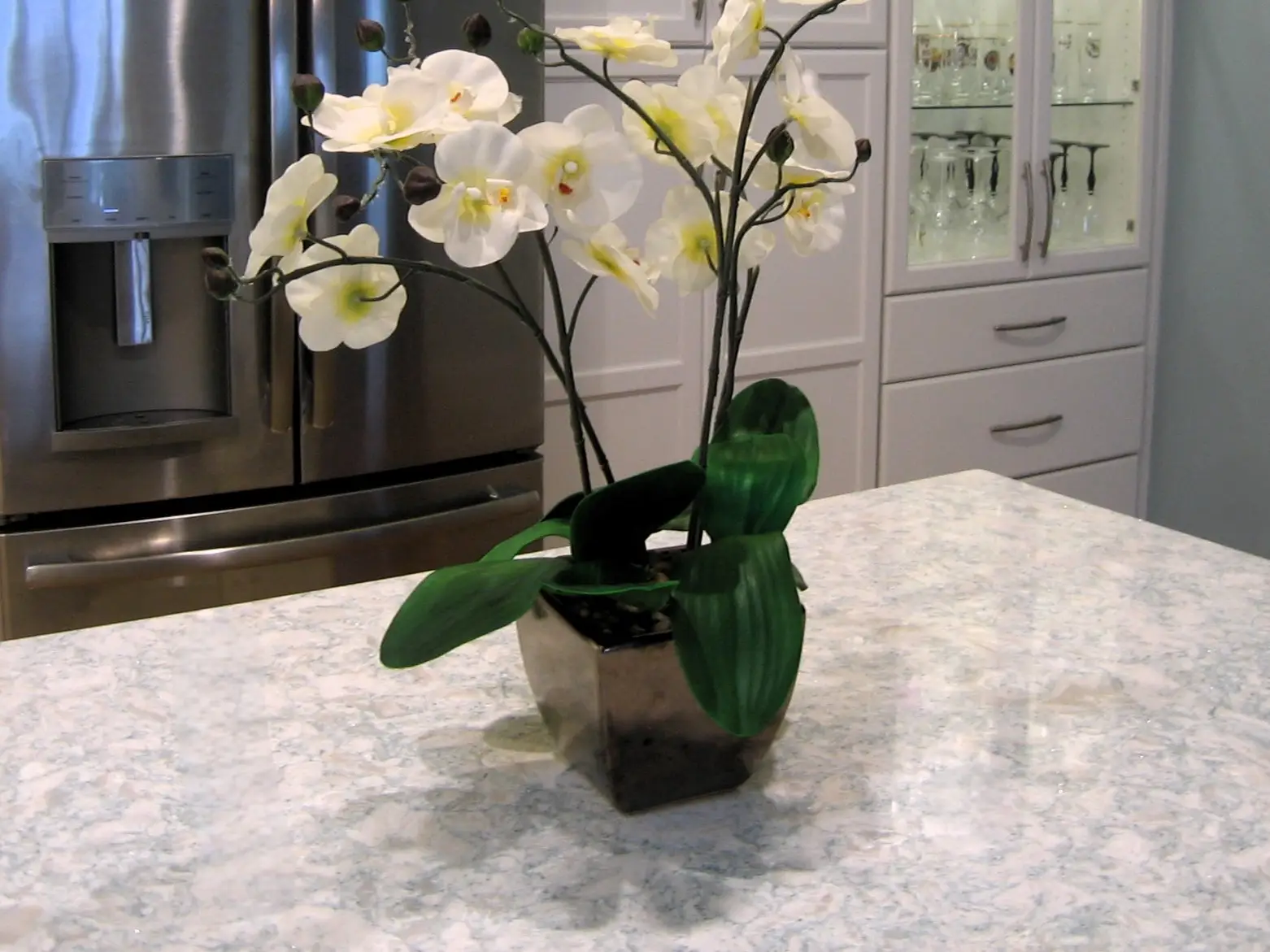 Cambria Montgomery quartz countertops in a recently remodeled kitchen