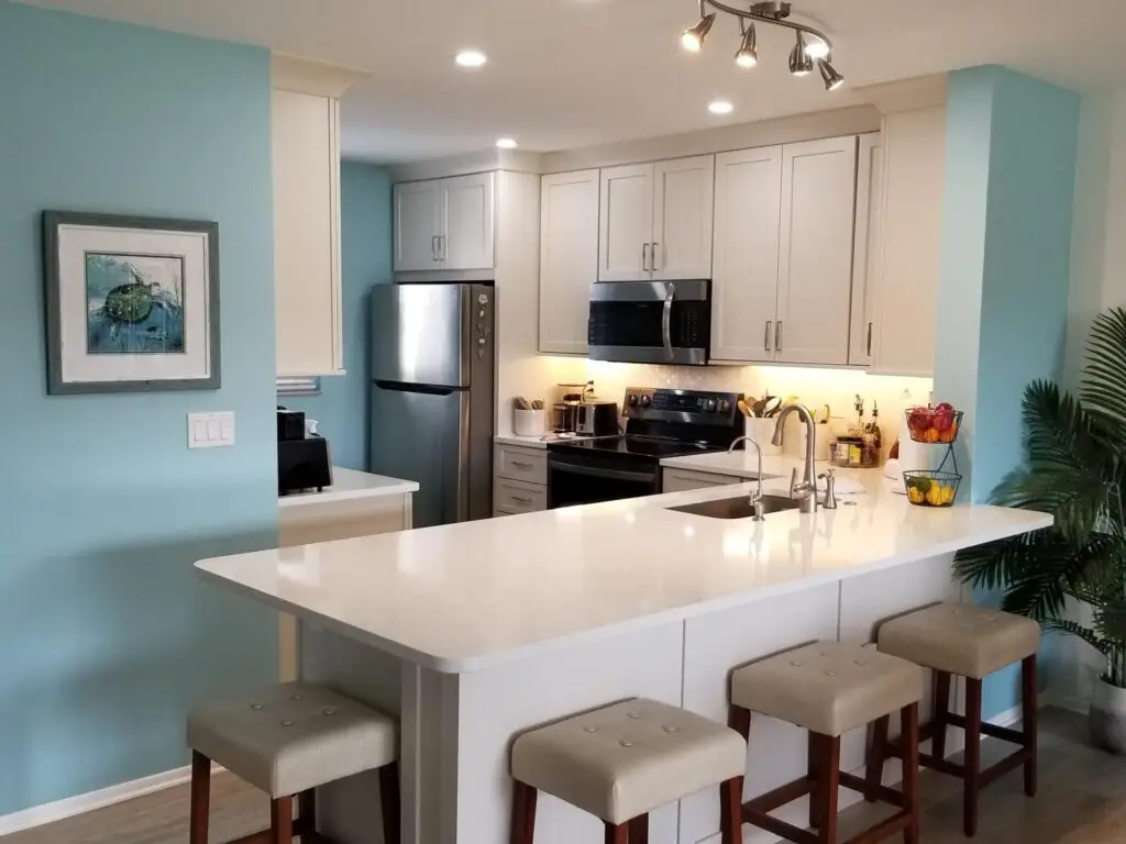 Modern Florida kitchen remodel with quartz countertops and custom cabinetry