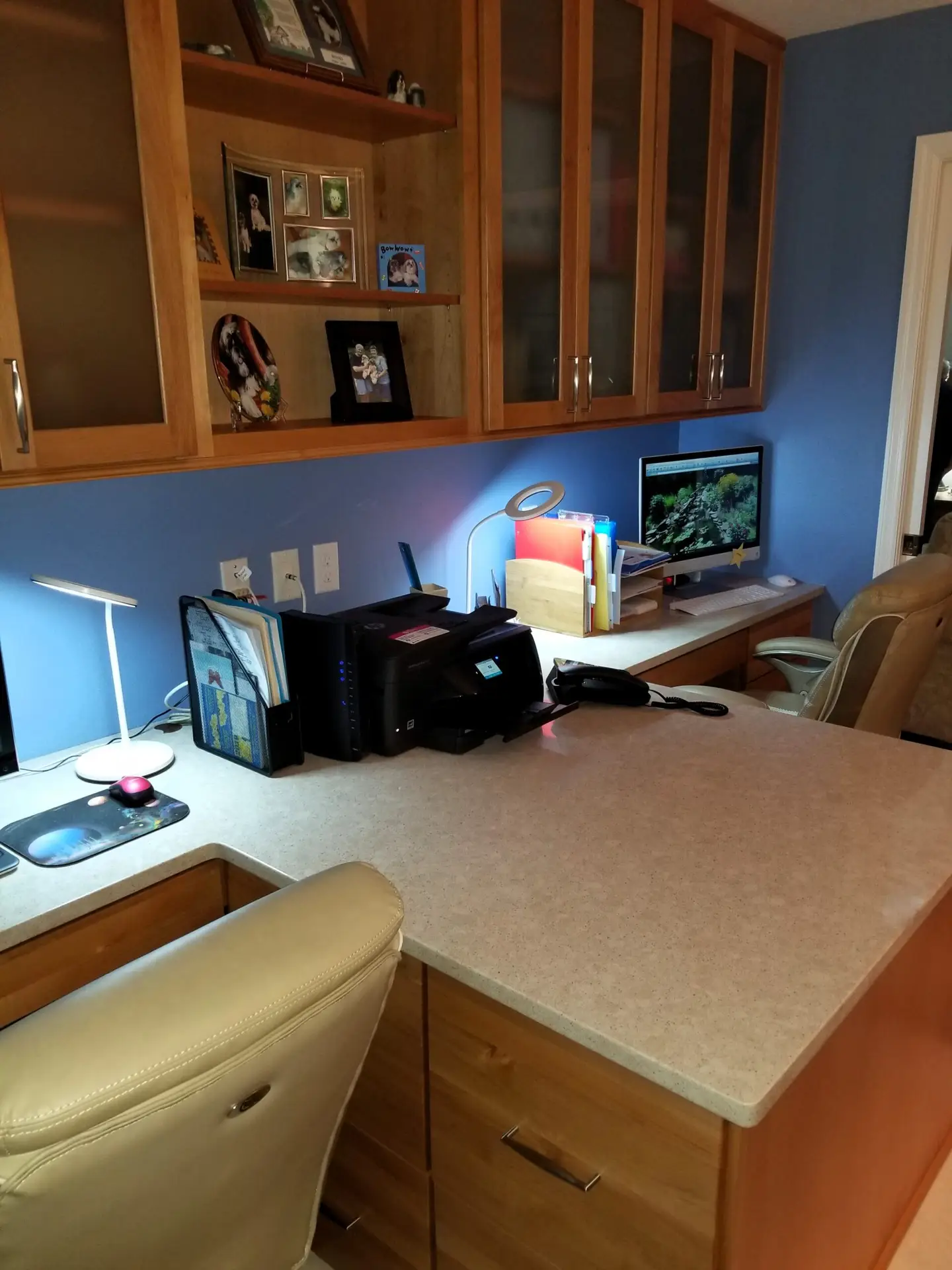 functional two person office with blue walls