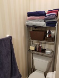 Guest bathroom before remodel in Bradenton